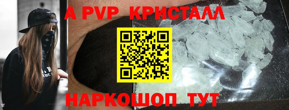A PVP СК КРИС Энгельс