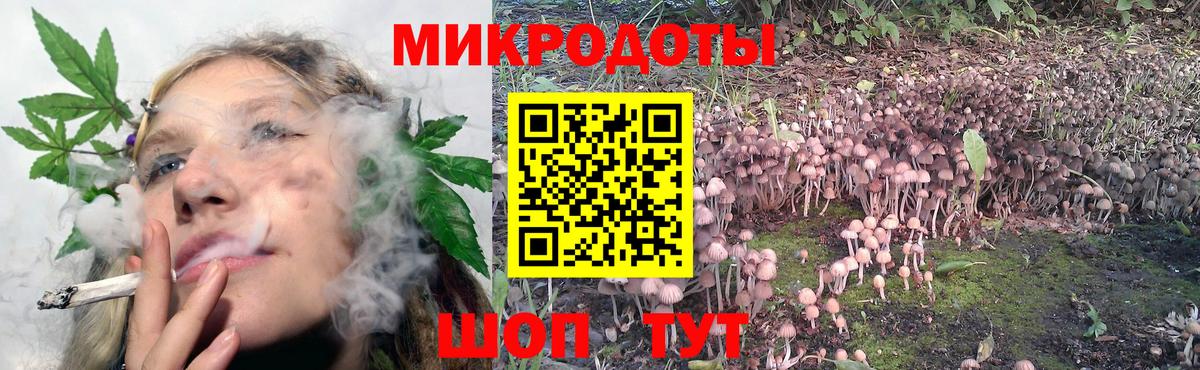 Псилоцибиновые грибы мицелий  Вход с VPN  Энгельс 